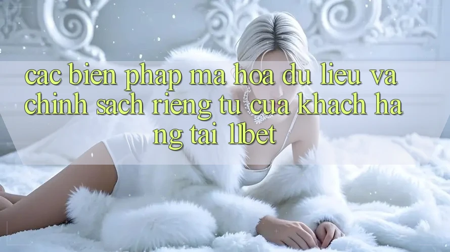 Các Biện Pháp Mã hóa dữ liệu Và Chính sách riêng tư Của Khách hàng Tại 11bet