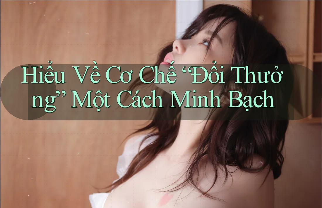 Hiểu Về Cơ Chế “Đổi Thưởng” Một Cách Minh Bạch