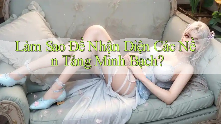 Làm Sao Để Nhận Diện Các Nền Tảng Minh Bạch?