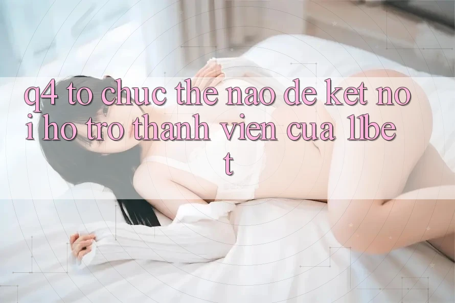Q4: Tổ chức thế nào để kết nối hỗ trợ thành viên của 11bet?