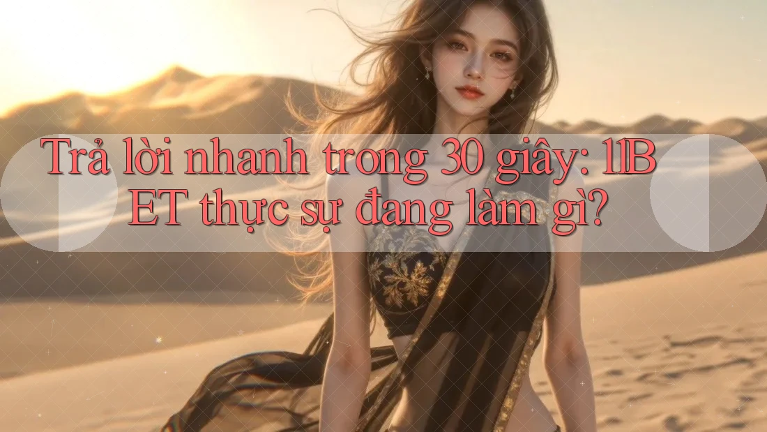 Trả lời nhanh trong 30 giây: 11BET thực sự đang làm gì?